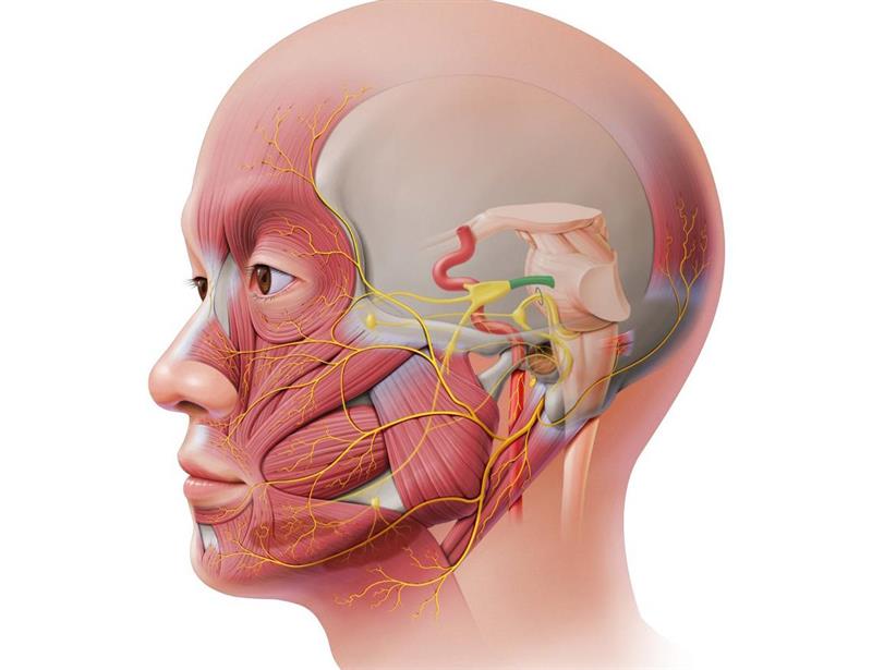 سردردهای TAC-سردردهای نادر-سردرد شدید-تریجمینال نورالژی